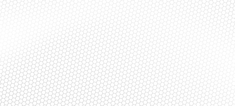 Hexagon net pattern vector background. Hexagonal seamless grid texture