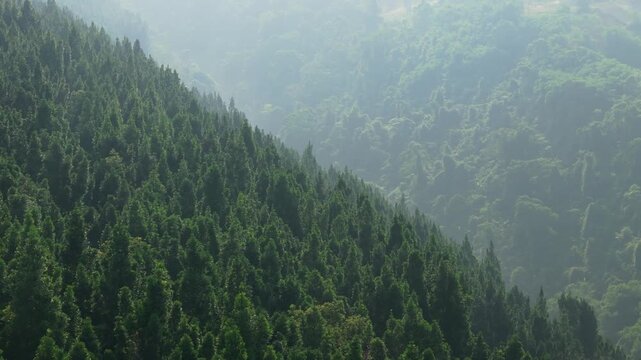 Aerial view of dense evergreen forest covering steep mountain slopes with misty valleys and soft morning light in Sukabumi, West Java, Indonesia.