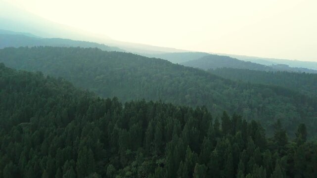 Aerial view of dense green forest and rolling hills under a misty sky in Sukabumi, West Java, Indonesia.