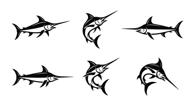 Swordfish Illustrations Black And White Vector Graphics Collection