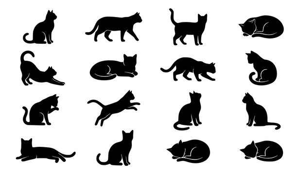 Cat Silhouette Collection with Various Sitting Walking and Sleeping Poses