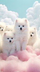 Naklejka premium Eskimo dog mammal animal cute.