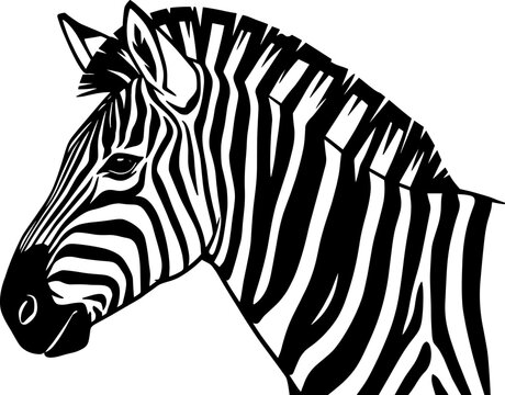 Zebra Head Illustration Featuring Black and White Wildlife Stripes Exotic African Animal and Nature Vector Artwork Design