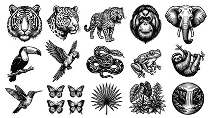 Fototapeta premium Black White Line Art Set of Tropical Animals and Nature Elements