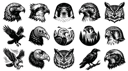 Obraz premium Black and White Vector Illustrations of Birds of Prey and Owls