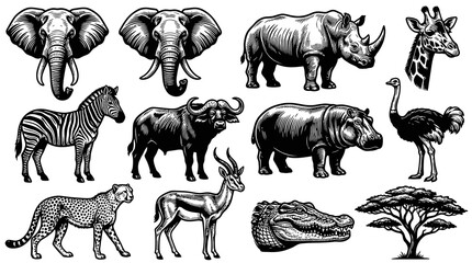 Obraz premium African Wildlife Animals Black and White Line Art Vector Collection