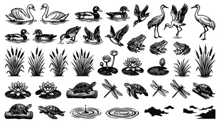 Obraz premium Black and White Line Art of Aquatic Animals and Plants, Vector Icons