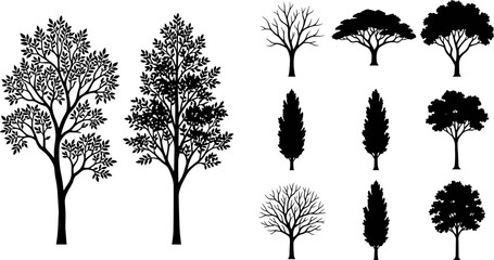 Obraz premium Tree silhouettes illustration featuring detailed and simplified forms including leafless, rounded, and conifer shapes symbolizing nature, landscape, creativity, and design concepts