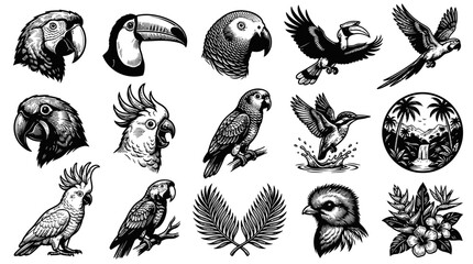 Fototapeta premium Black and White Exotic Birds Collection Vector Art, Toucan, Parrot, Kingfisher, Tropical