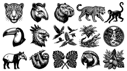 Fototapeta premium Amazon Rainforest Animals Vector Black and White Line Art Set