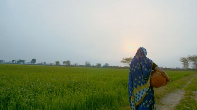 Village scene - Beautiful married woman walking through a field with a clay pot. Long shot of an Indian woman in a traditional saree carrying a pot of drinking water from a tubewell for her housework