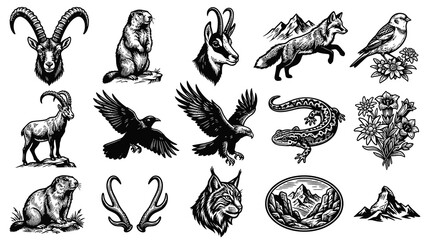 Obraz premium Black and White Alpine Wildlife and Mountain Nature Set. Vintage Detailed Line Art Illustration of Fauna Flora