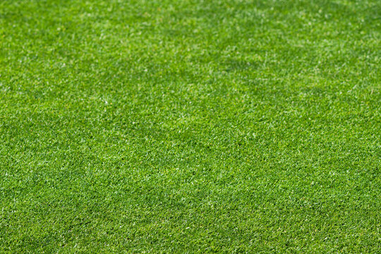 Ultra High Resolution Professional Stadium Grass Texture for International Football Events