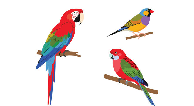 Beautiful group of tropical birds including a red macaw and a colorful finch perched peacefully on brown branches.