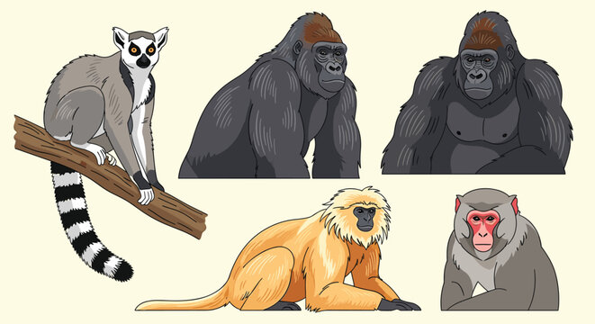 Diverse group of primates including a ring-tailed lemur two gorillas a gibbon and a Japanese macaque.