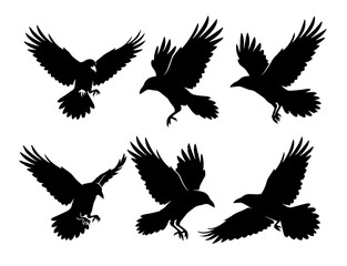 Obraz premium Raven silhouettes set . Vector flying crow icons.