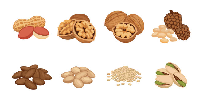 Nutritious assortment of various nuts including peanuts walnuts pistachios and almonds in their shells and peeled.