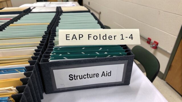Organized Filing System Showing EAP Folder and Structure Aid for Efficient Document Management in Office Environment