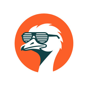 A stylized illustration of an ostrich wearing sunglasses is prominently displayed within a circular orange background.