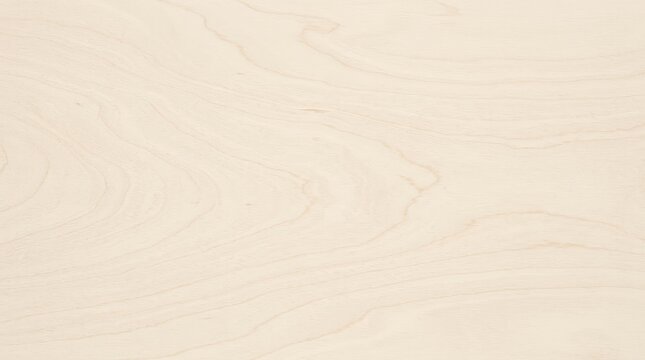 Seamless pale birch wood texture background with natural grain