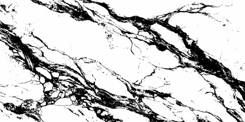 Fototapeta premium Premium White Marble Background with Rich Black Natural Veins and Luxury Stone Texture.