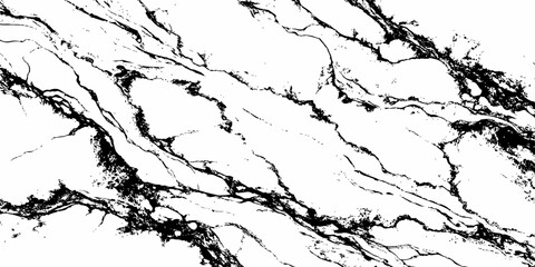 Fototapeta premium Elegant Natural White Marble Background with Black Veining Luxury Stone Texture Design.