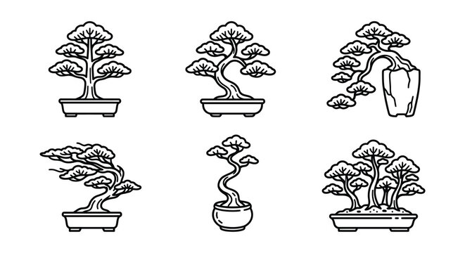 Bonsai tree collection black line vector illustrations on white background