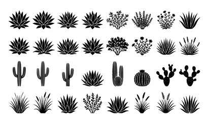 Fototapeta premium Minimal Desert Botanical Silhouette Vector Collection with Agave and Shrubs