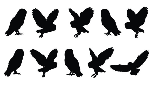 Detailed collection of ten different black silhouettes showing various owls in flight and perching positions captured in high contrast vector style for artistic graphic design projects and creative wi