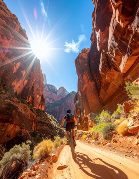 Mountain biker rides through a sun-drenched canyon with towering red rock formations.