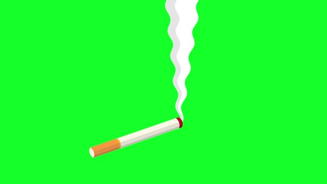 Animated burning cigarette with rising smoke on chroma key green screen background, 4k loopable motion graphic of smoking concept.