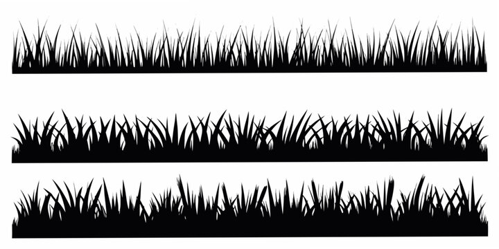 Grass Blade Silhouettes On White Background Three Variations