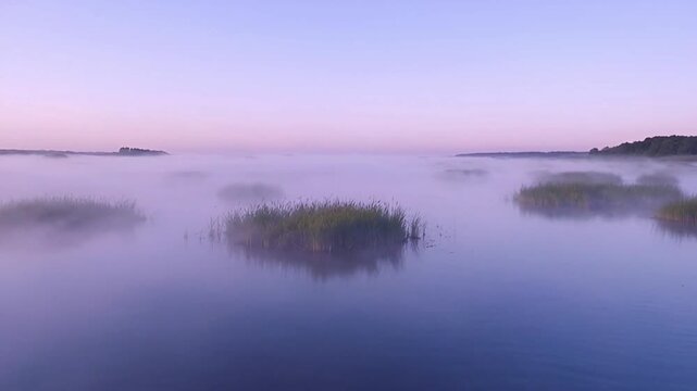 Calm water with grassy patches.