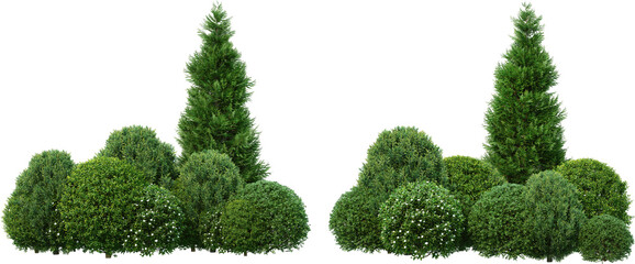 Obraz premium Pine garden decoration on a transparent background 