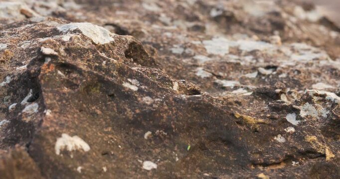Natural Raw stone Texture