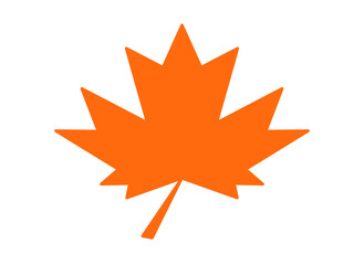 Fototapeta premium maple leaf vector illustration on a white background for autumn season icon