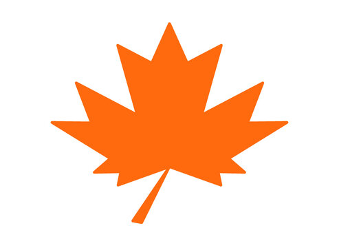 maple leaf vector illustration on a white background for autumn season icon