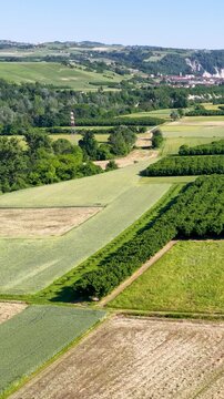 Aerial View of Agricultural Fields and Hazelnut Orchards in Piedmont Italy