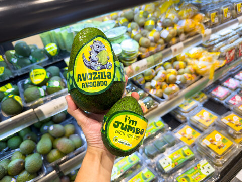 PENANG, MALAYSIA - MAY 18, 2026: Hand holding jumbo and Avozila avocados inside supermarket refrigerated produce section.