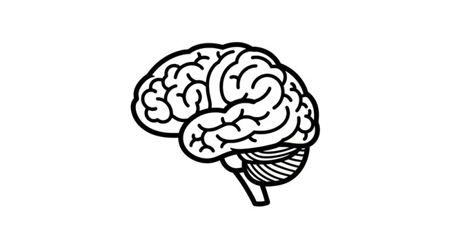 Complex human brain lateral view line art for neurology