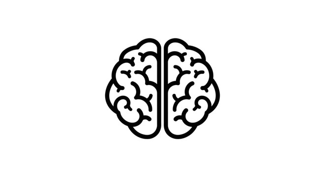Top view of human brain hemispheres line icon