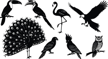 Bird Silhouette Icons Set Featuring Toucan, Flamingo, Eagle, Peacock, Parrot, Cockatoo, Hornbill, Silhouette Icons Set Featuring Toucan, Flamingo, Eagle, Peacock, Parrot, Cockatoo, Hornbill, and Owl © Mitu