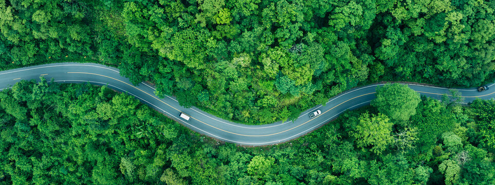 Top view road in beautiful autumn forest at sunset, trees with red and orange leaves , Beautiful landscape view from flying drone in Nature
