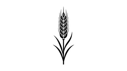 Black and white silhouette of a wheat stalk on a white background © Eter