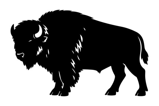 American Bison Silhouette Vector Illustration Isolated on White Background
