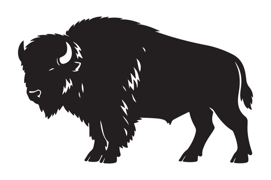 American Bison Silhouette Vector Illustration Isolated on White Background