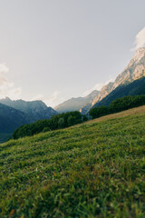 Naklejka premium Woman lifestyle concept with a person standing on a grassy hill, surrounded by lush greenery and mountains under a clear sky, peaceful outdoor scene.