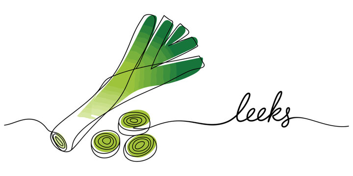 Continuous line drawing Fresh green leeks vegetable illustration with text