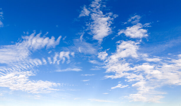 Clouds sky background texture blue. Soft white clouds pattern. Bright daylight clouds wallpaper backdrop. Clouds cloudscape skyscape cirrus.