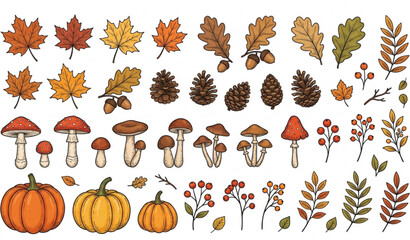 Fototapeta premium Hand Drawn Autumn Elements Vector Collection with Leaves Pumpkins and Forest Objects Set